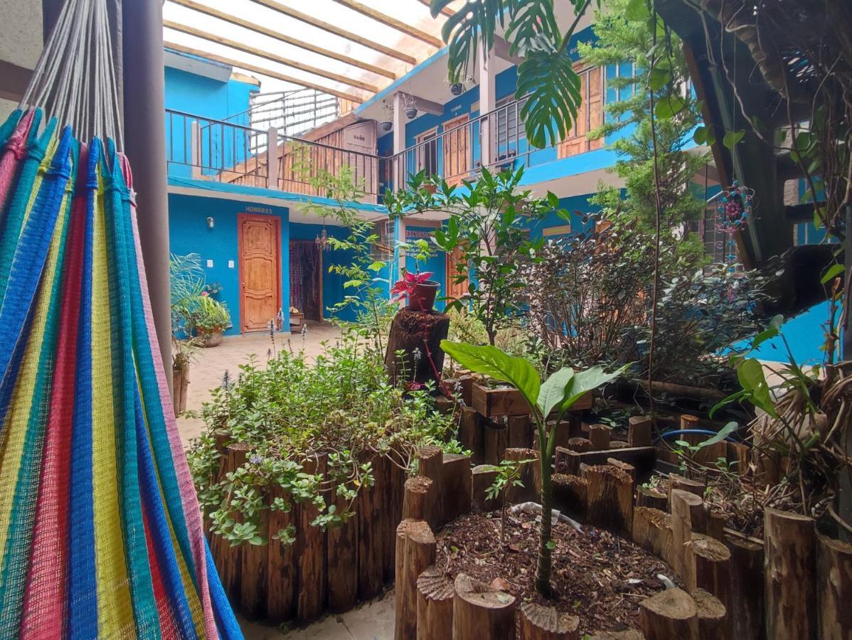 Hostal Ikal San Cristóbal de Las Casas Екстериор снимка